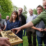Bienenstand, Trachtenbörse, AZ 33016 © Landwirtschaftskammer Niedersachsen